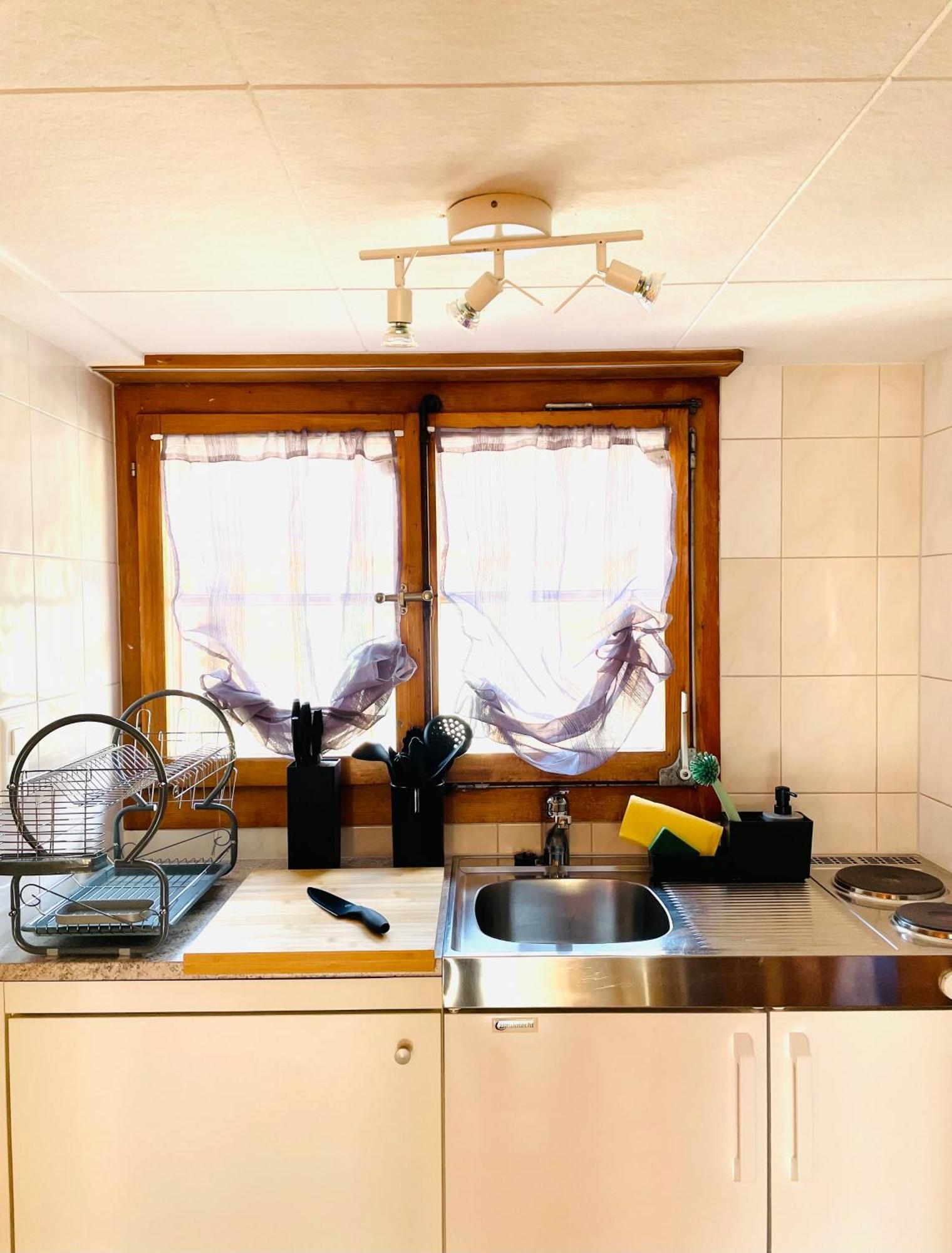 Charming, Well-Equipped Alpine Apartment Kandersteg Esterno foto